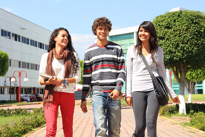 Imagen móvil del banner