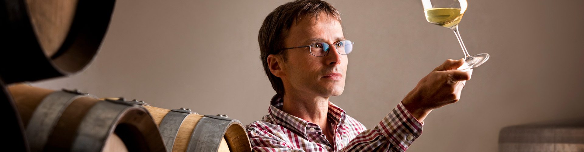 Diplomado en Enología