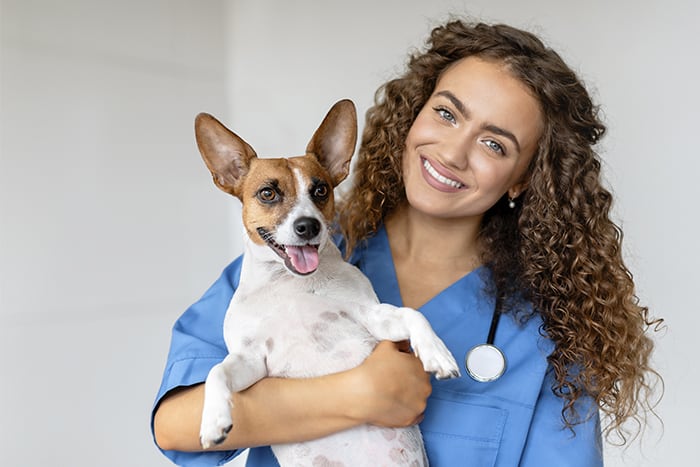 Imagen móvil del banner