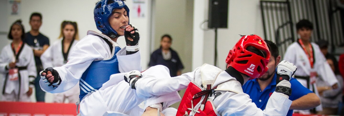 Artes Marciales