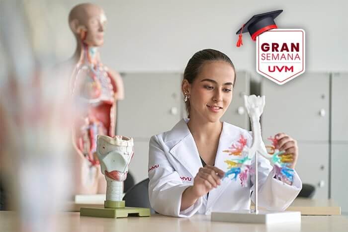 Imagen móvil del banner